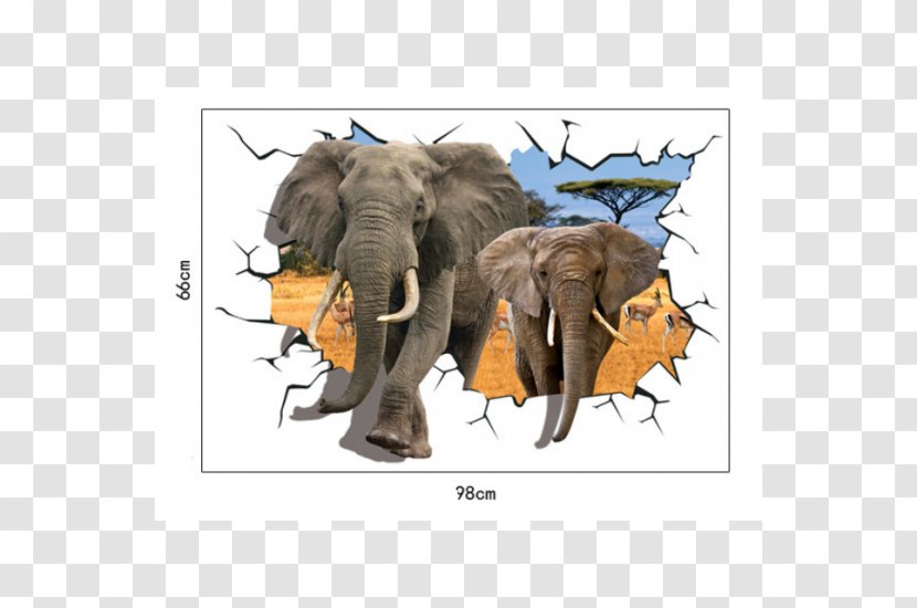 Wall Decal Elephantidae Sticker Painting - Mural Transparent PNG