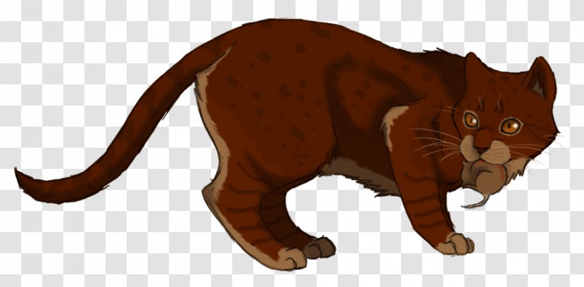 Tabby Cat Whiskers Warriors Kitten - Nodapl Transparent PNG