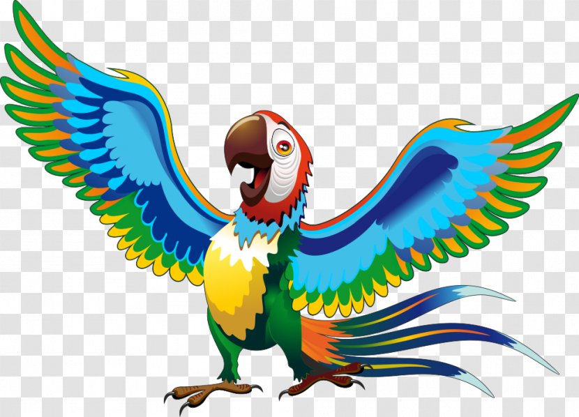 Parrot Cartoon Drawing Macaw - Feather - Vector Transparent PNG