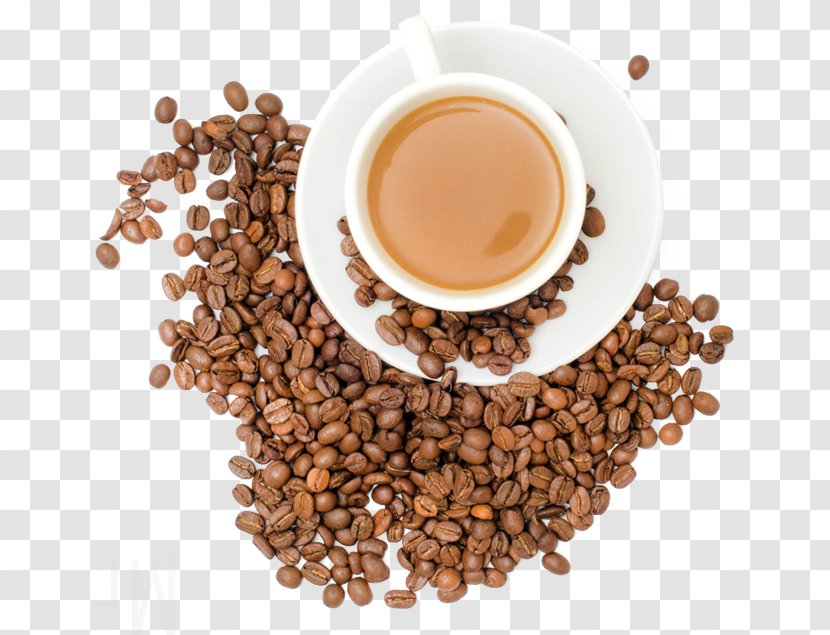 Jamaican Blue Mountain Coffee Kona Iced Cup - Bean - Shop Transparent PNG