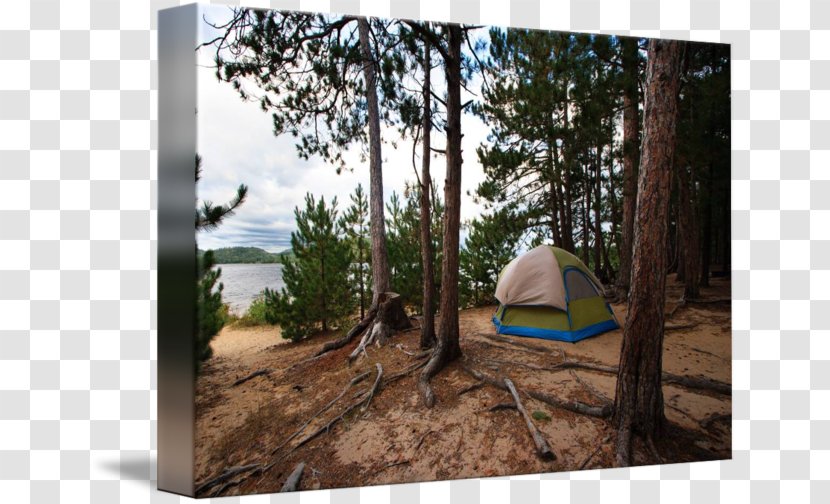 Camping Tent Vacation Tree Leisure - Wood Transparent PNG