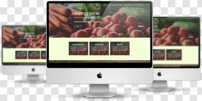 Responsive Web Design Template System Multimedia - Display Advertising - World Wide Transparent PNG