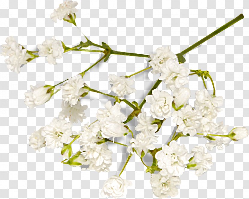 Floral Design Cut Flowers Flower Bouquet Artificial - Polyvore Transparent PNG
