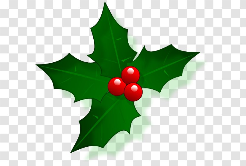Christmas And Holiday Season Clip Art - Aquifoliaceae Transparent PNG