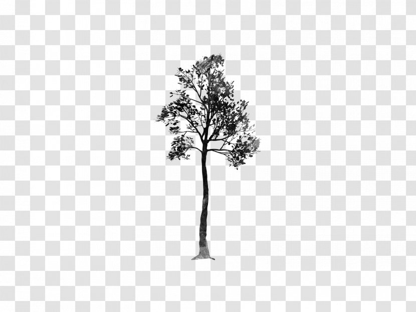 Desktop Wallpaper Tree Monochrome Photography - Trees Transparent PNG
