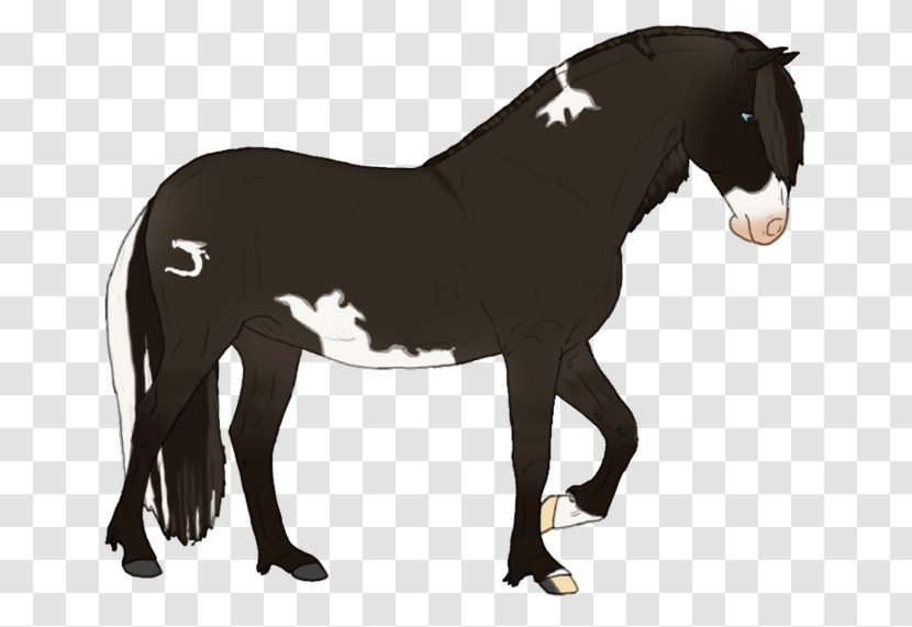 Mustang Stallion Pony Rein Pack Animal - Mother - Mud Horse Transparent PNG