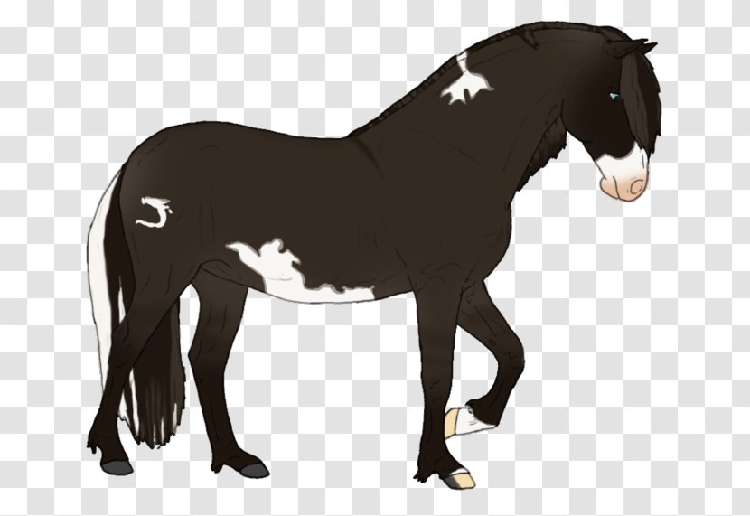 Mustang Stallion Pony Rein Pack Animal Mother Mud Horse