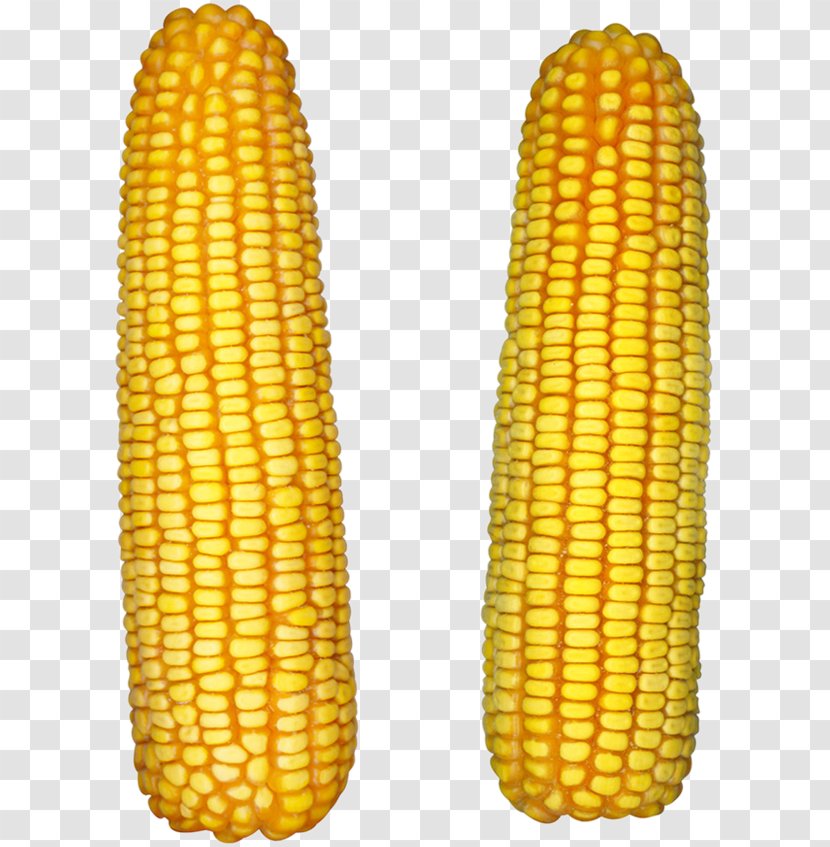 Corn On The Cob Popcorn Maize Sweet - Commodity Transparent PNG