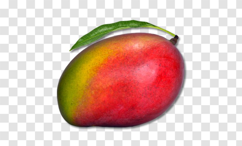 Juice Mango Transparent PNG