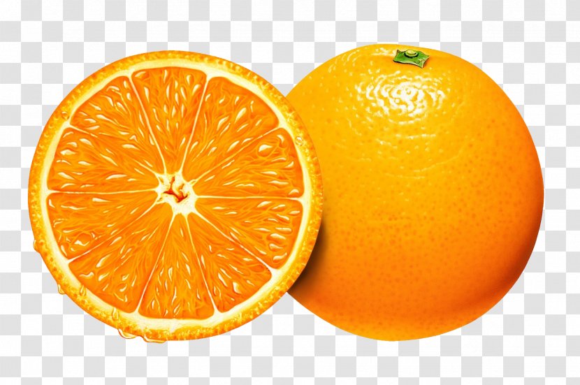 Orange Juice Clip Art - Tangerine - Oranges Transparent PNG