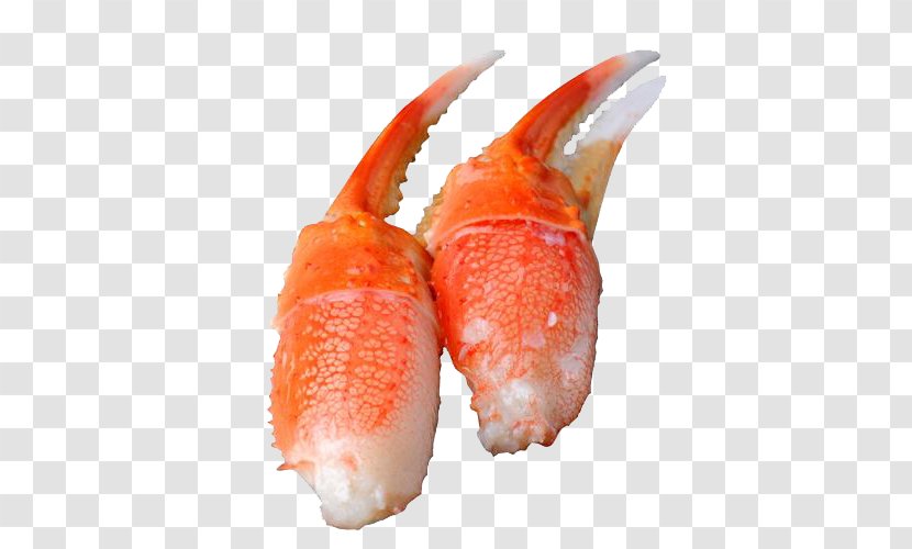 Snow Crab Claw - Cangrejo - Clasp Free Transparent PNG