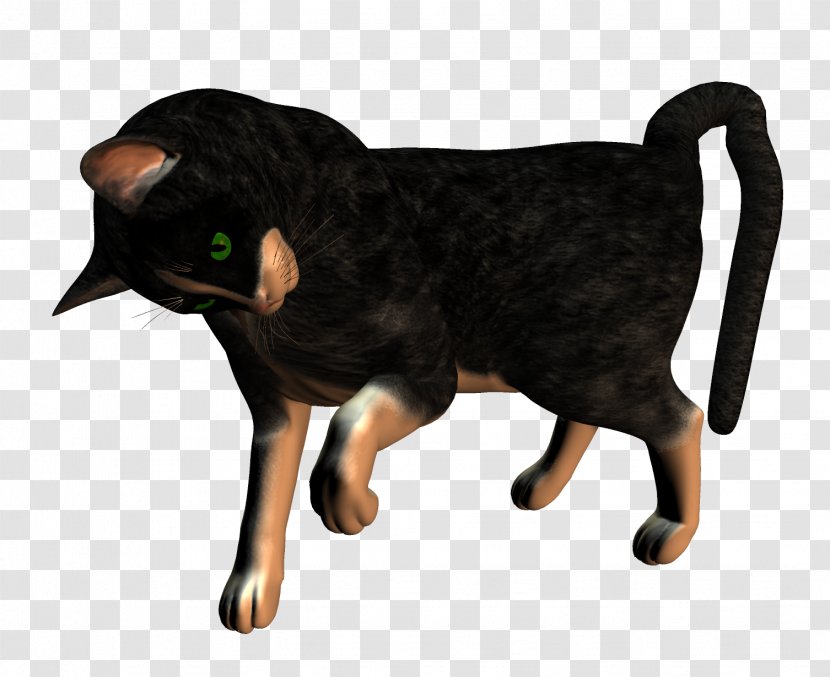 Dog Black Cat Whiskers Transparent PNG