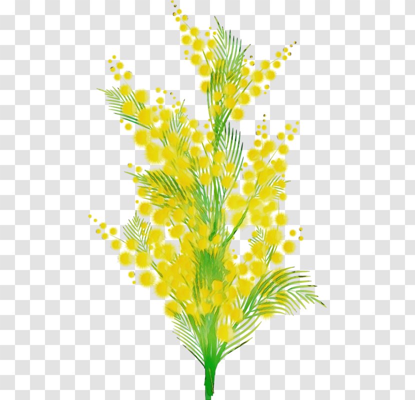 Yellow Plant Leaf Flower Grass - Paint - Vascular Pedicel Transparent PNG