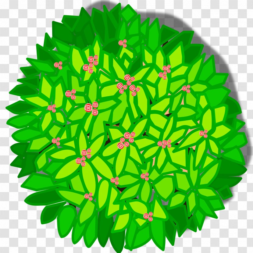 Tree Plant Clip Art - Top View Transparent PNG