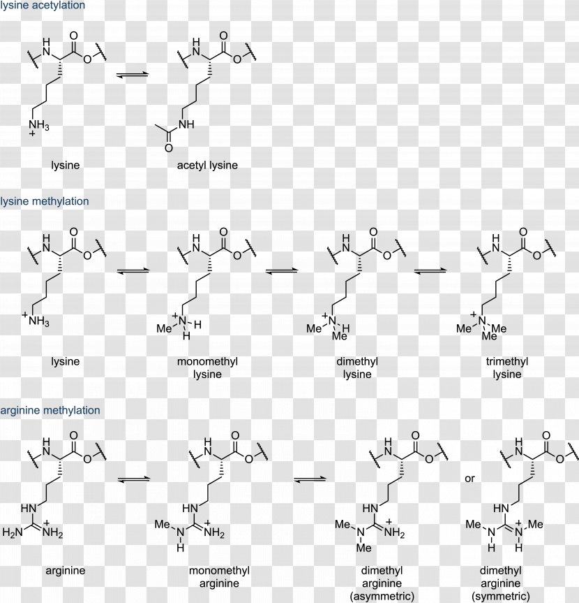Histone Acetylation And Deacetylation Methylation - Flower - Silhouette Transparent PNG