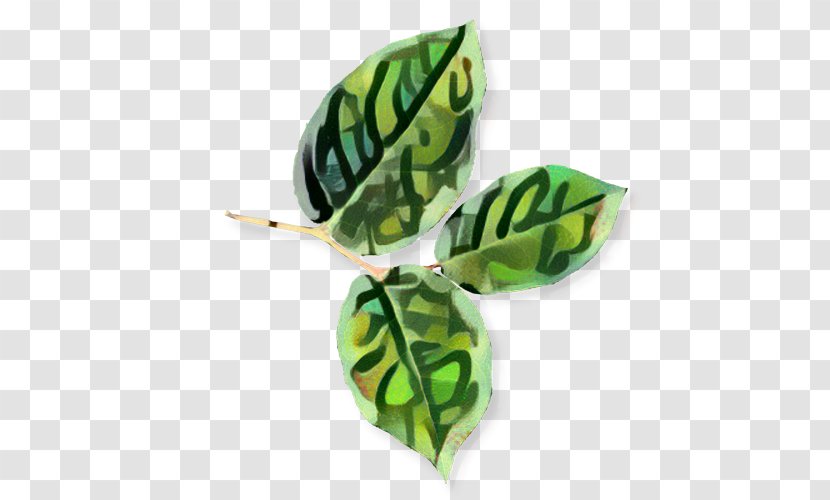 Green Leaf Background - Brooch Bead Transparent PNG