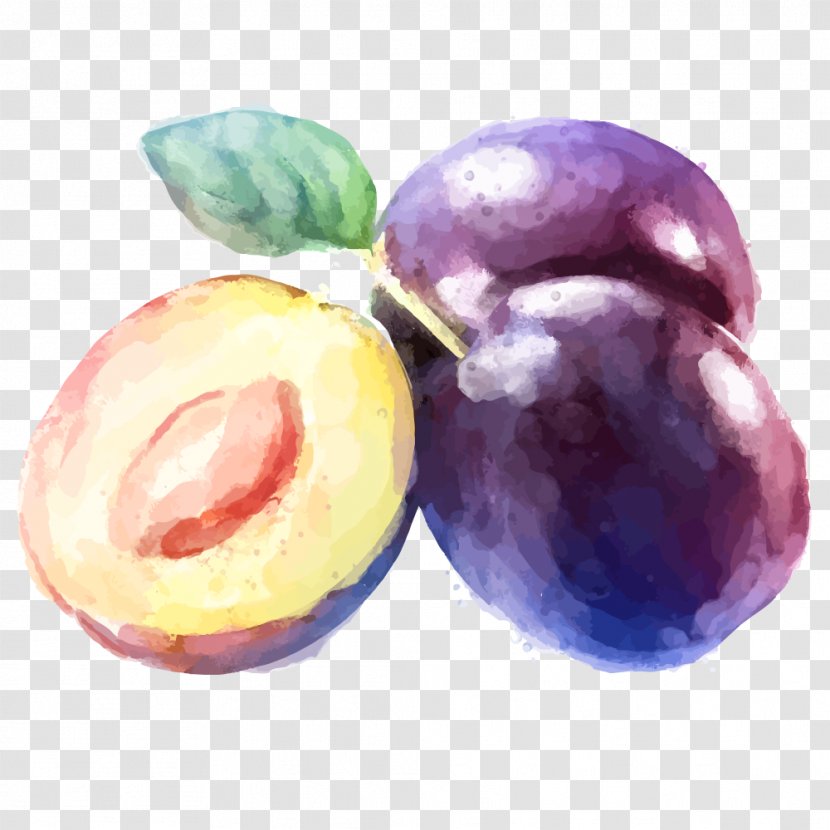 Fruit Watercolor Painting Drawing Plum - Local Food - Ink Vector Material Transparent PNG