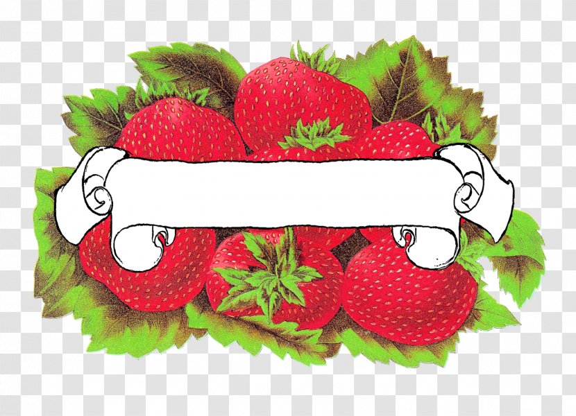 Label Strawberry - Coloring Book - Design Transparent PNG