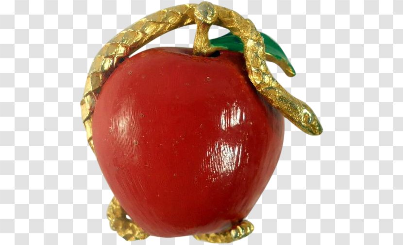 Brooch Pin Apple Jewellery Garden Of Eden - Fruit Transparent PNG