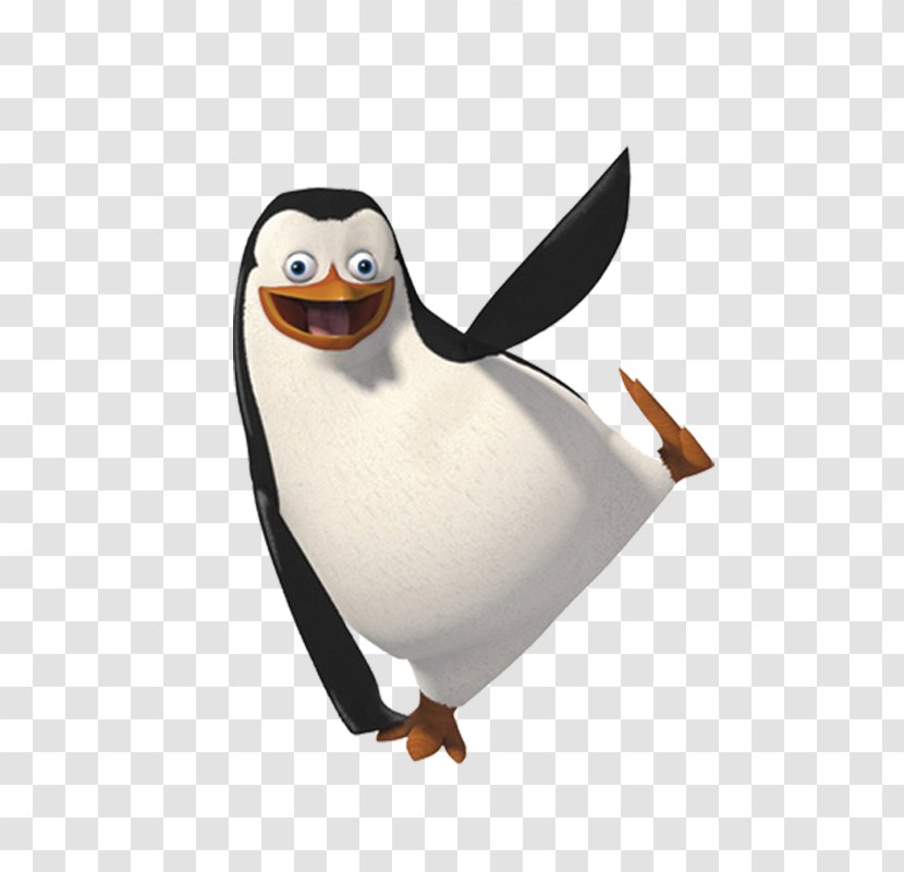 Penguin Clip Art - Image Resolution Transparent PNG