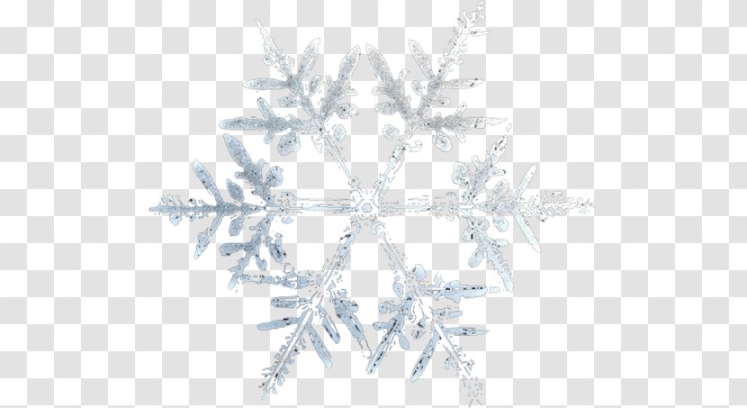 Snowflake Adobe Fireworks - Snow Transparent PNG