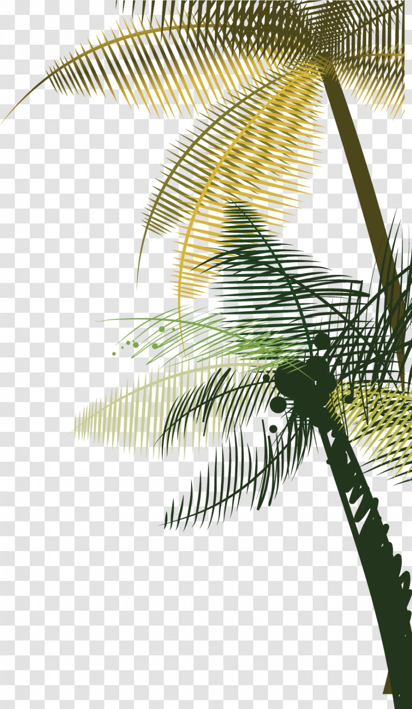 Coconut Tree Euclidean Vector - Pattern - Fashion Hand Painted Side Palm Transparent PNG