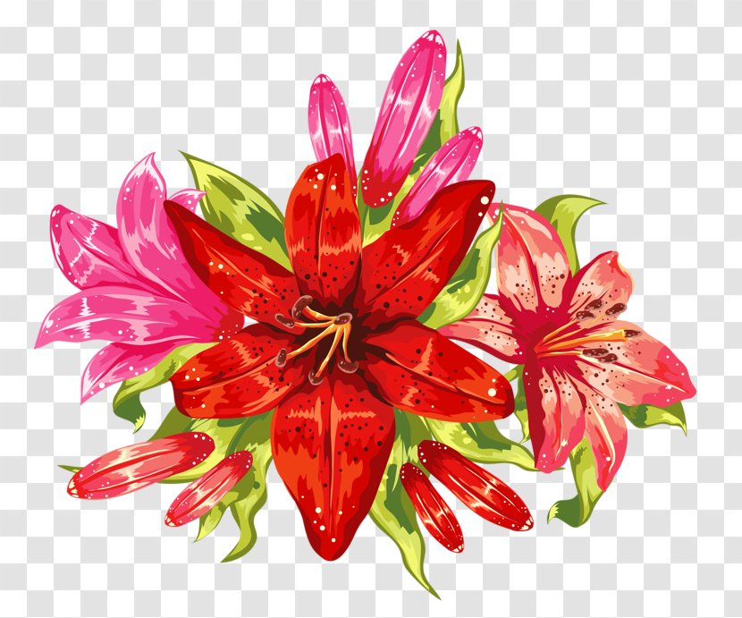 Flower Bouquet Poinsettia Tepal - Fototapeta Transparent PNG