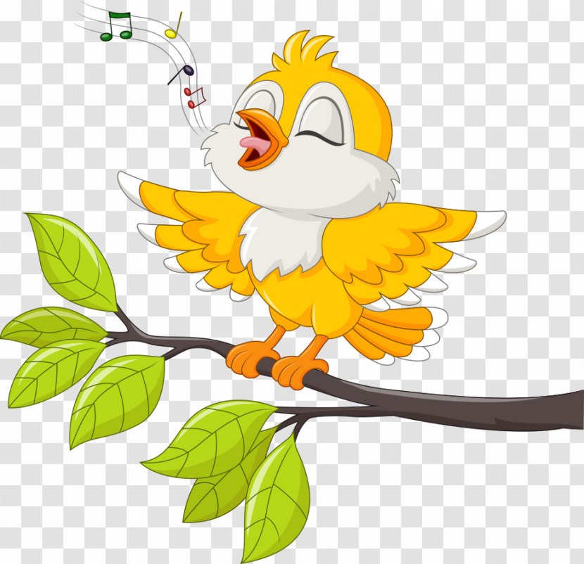 Bird Singing Stock Illustration - Tree - Vector Birds On The Branches Transparent PNG