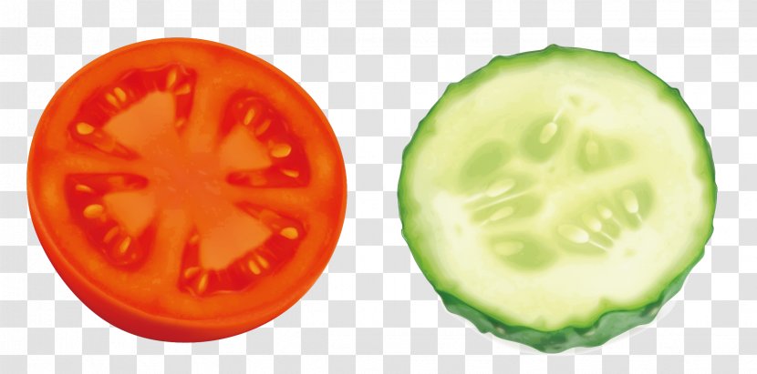 Cucumber Tomato Vegetable - Food - Tomatoes And Cucumbers Transparent PNG