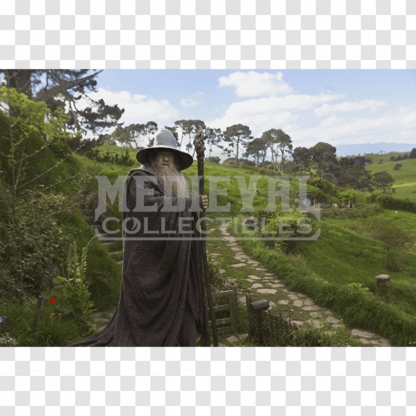 Gandalf The Lord Of Rings Hobbit Bilbo Baggins - Shire - Wizard Staff Transparent PNG