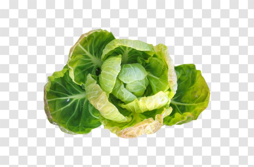 Romaine Lettuce Brussels Sprout Vegetarian Cuisine Vegetable Red Leaf - Cruciferous Vegetables Transparent PNG