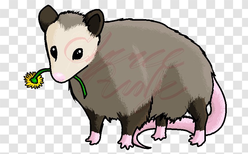 Cat Budgerigar Mouse Opossum DeviantArt - Cartoon Transparent PNG