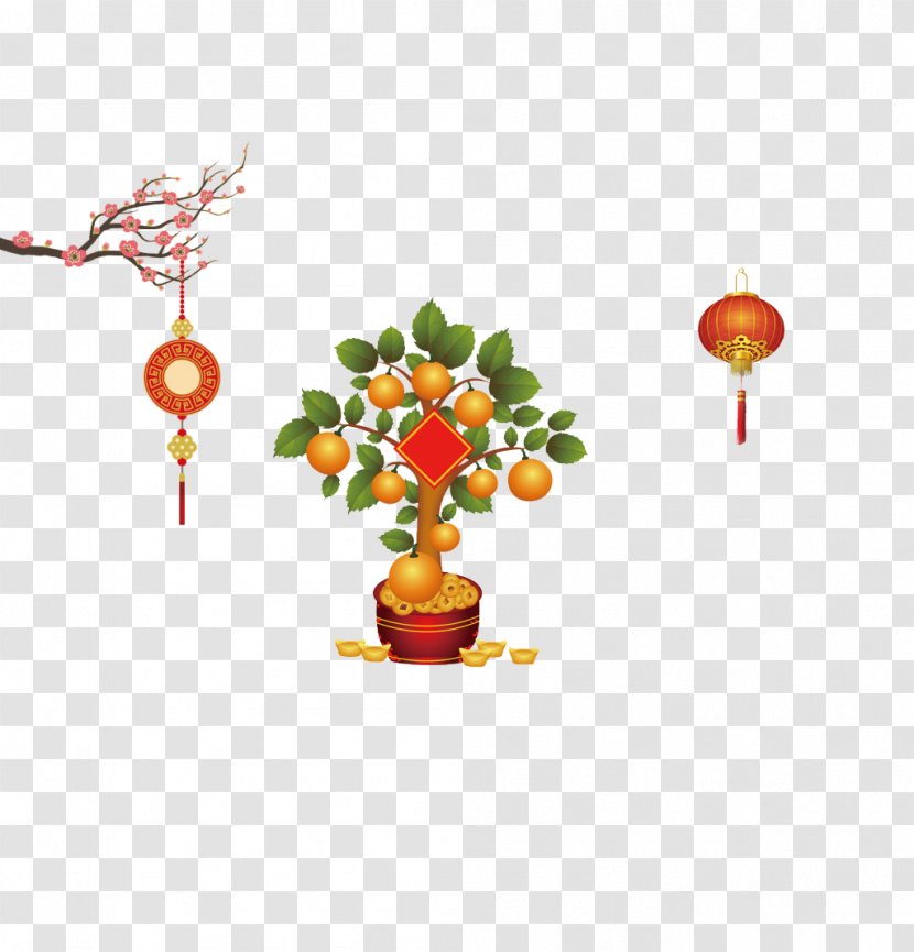Panama Orange Tangerine Tree - Chinese New Year Festive Lanterns Transparent PNG