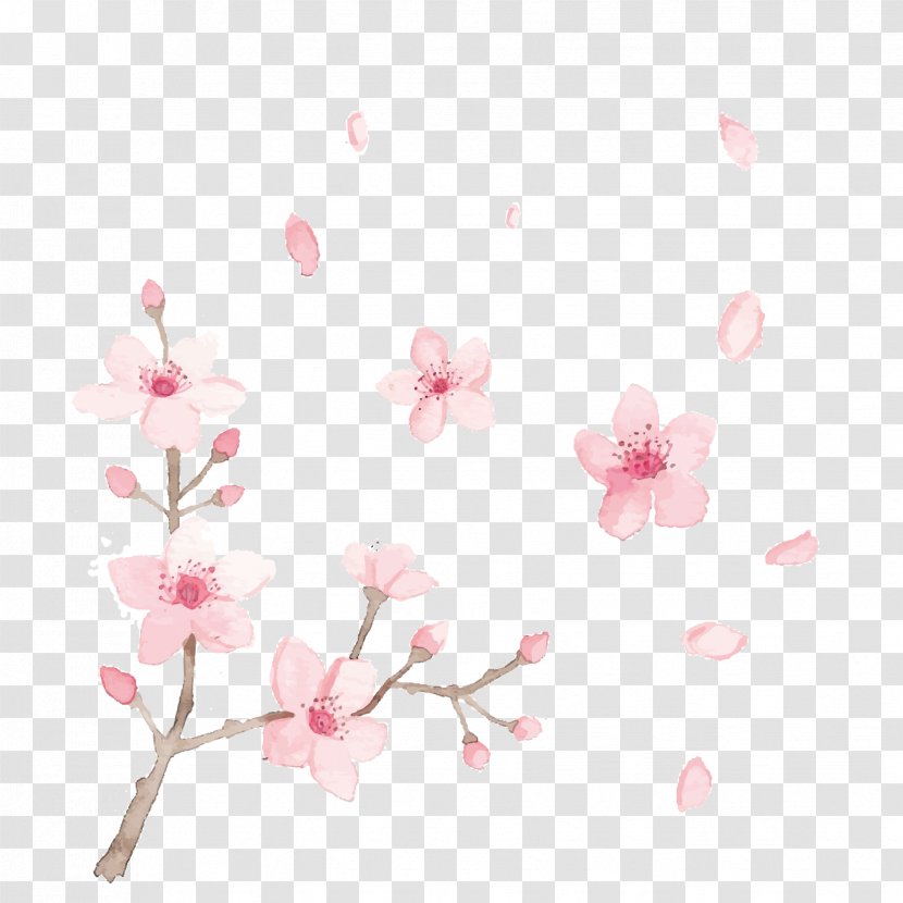 Brazil Chemical Depilatory Hair Removal Cream Waxing - Cherry Blossom - Vector Hand-painted Blossoms Transparent PNG