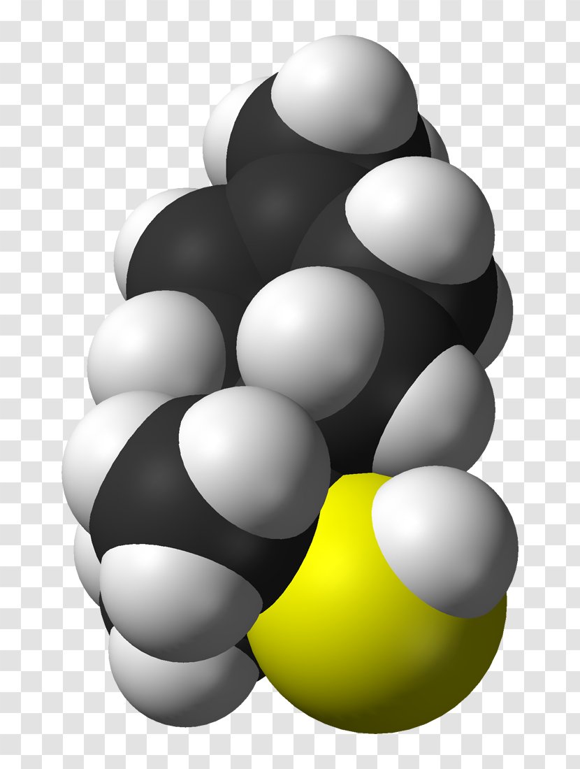 Thiol Hydrocarbon Petroleum Organic Chemistry Aliphatic Compound - Chemical - Grapefruit Transparent PNG