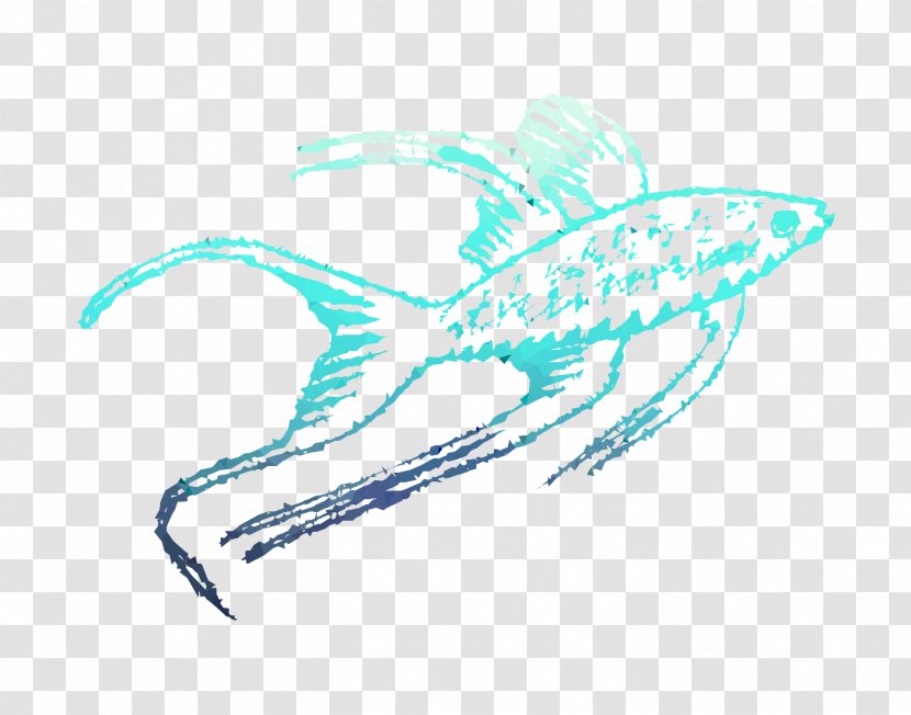 Marine Biology Mammal Illustration Graphics - Tail Transparent PNG