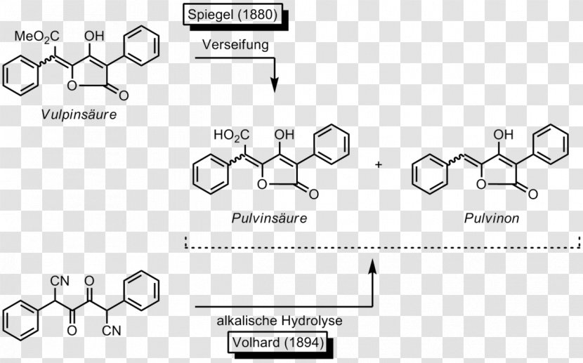 Pulvinone Chemical Synthesis Pulvinic Acid Vulpinic Chemistry - Watercolor - Boletus Transparent PNG