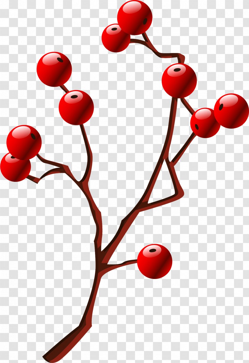 Hawthorn Clip Art - Tree - Hand Painted Red Cherry Transparent PNG
