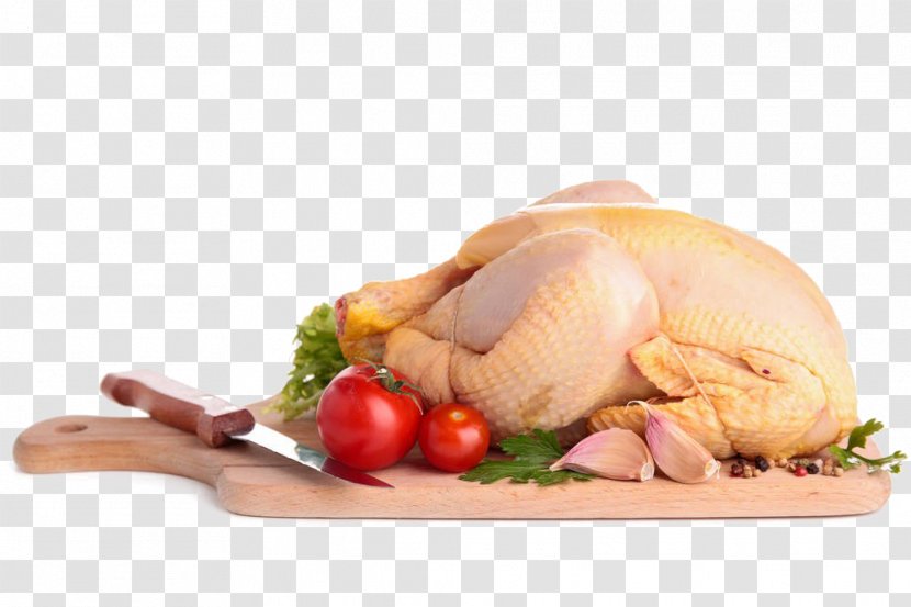 Silkie Chicken Meat Soup Roasting - Thanksgiving Dinner Transparent PNG