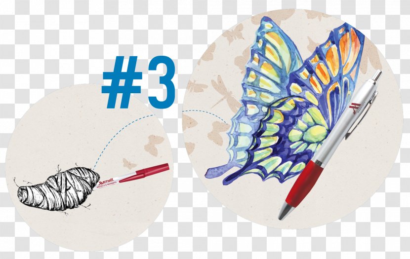 Butterfly Beautiful Butterflies: Natures Wonders Drawing - Kobold Suit Creative Combination Transparent PNG