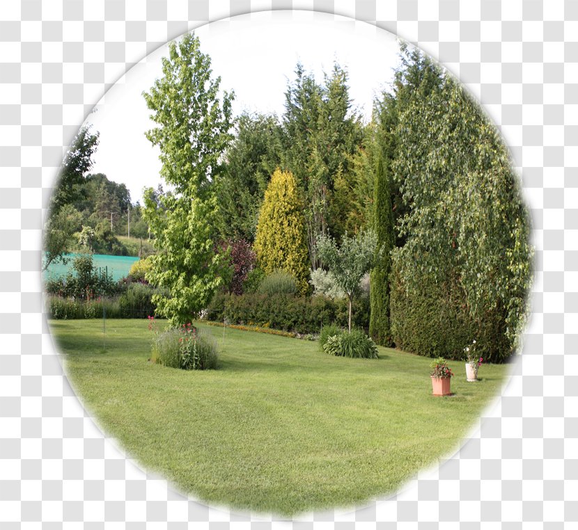 Pisciculture De Cousances-aux-Bois Cousances Aux Bois Nancy Tree Recreation - Landscape Transparent PNG