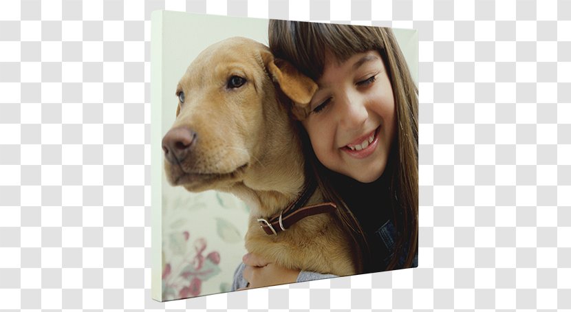 Boxer Child Dog Breed Service Alabama Rot - Mixed - Camera Poster Transparent PNG