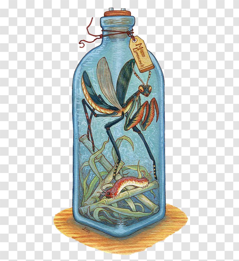 Legendary Creature Drawing Bottle Watercolor Painting Monster - Glass - Mantis In A Transparent PNG