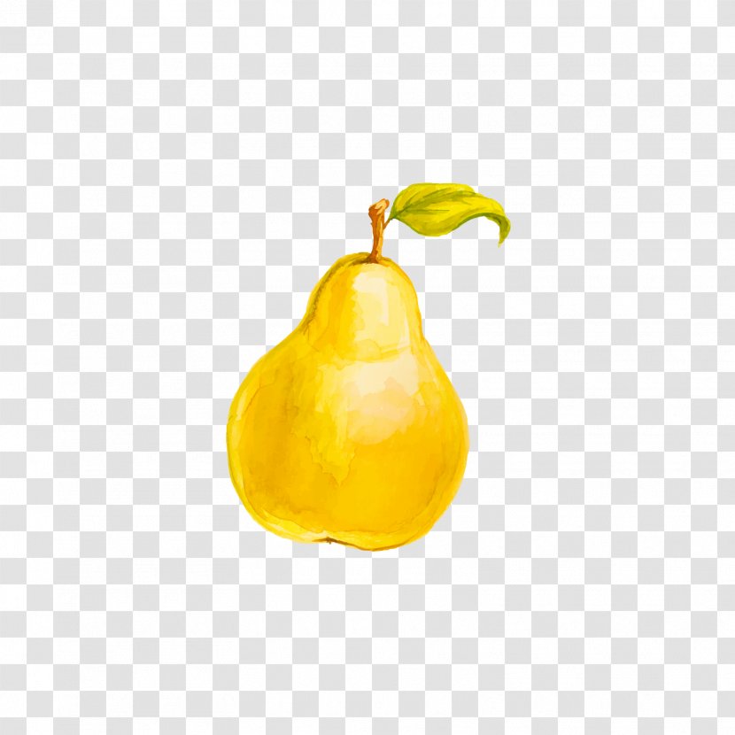 Lemon Pear Tomato - Photography - Yellow Transparent PNG