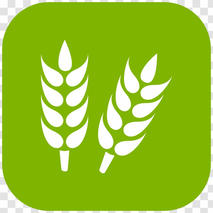 Agriculture Industry Crop Business Sales - Green Transparent PNG