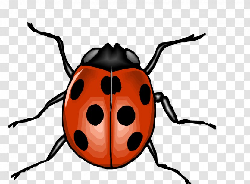 Beetle Clip Art - Invertebrate - Red Cartoon Ladybug Transparent PNG