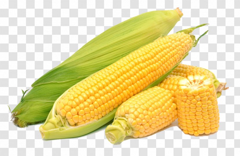 Corn On The Cob Maize Sweet - Nut Transparent PNG