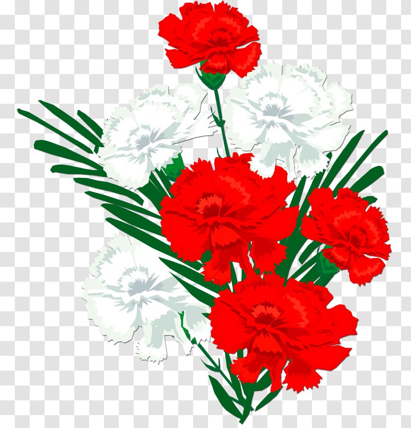 Information Pink Kryddernellike Clip Art - Carnation - Flower Bouquet Transparent PNG