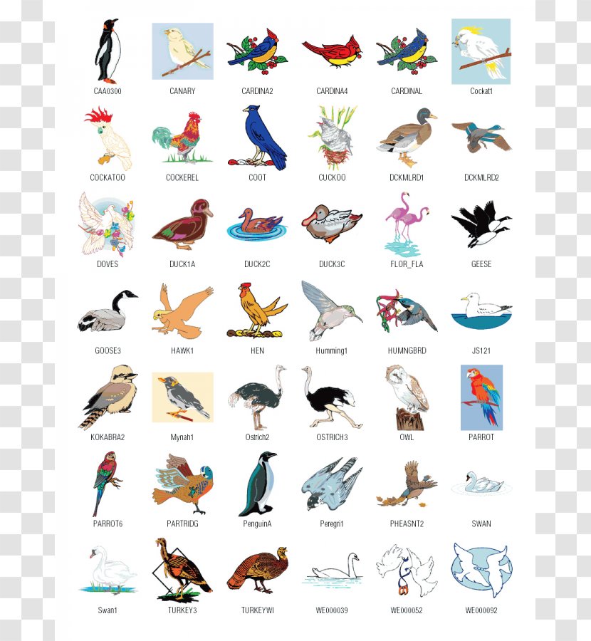 Bird Download Free Content Clip Art - Footwear - Screenshot Cliparts Transparent PNG