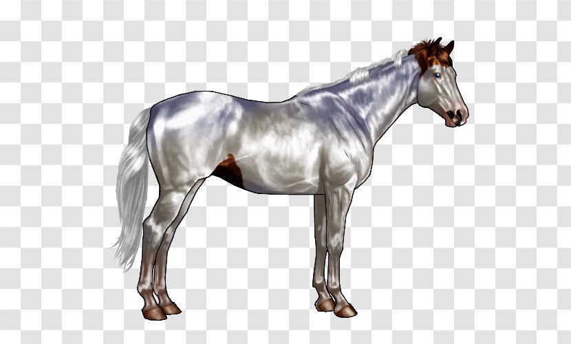Sabino Horse Pony Chestnut Equine Coat Color - Neck Transparent PNG
